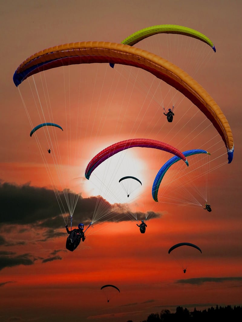 Adventurer Stories